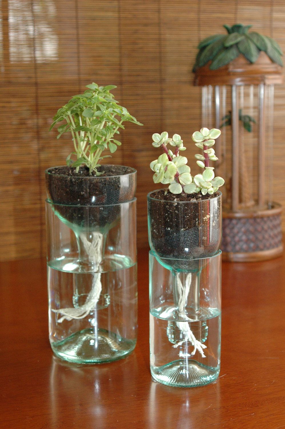 Step 1: Materials -   Self-watering planter made from recycled bottles…clever clever.