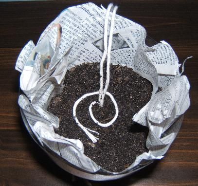 Step 7: Soil -   Self-watering planter made from recycled bottles…clever clever.