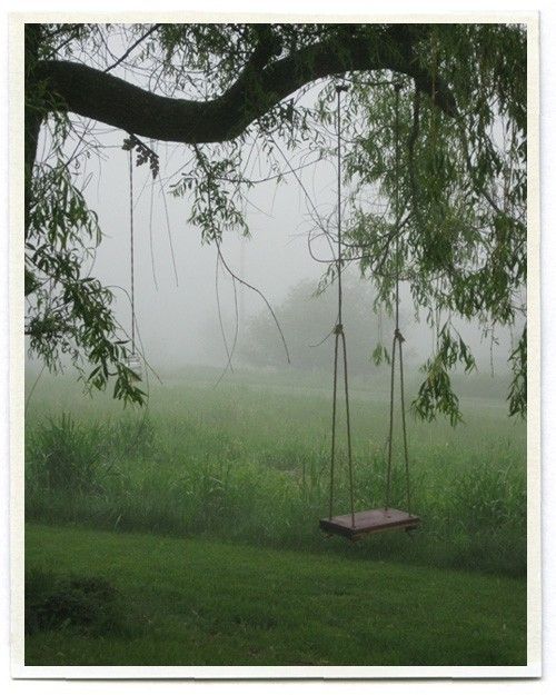swings :)
