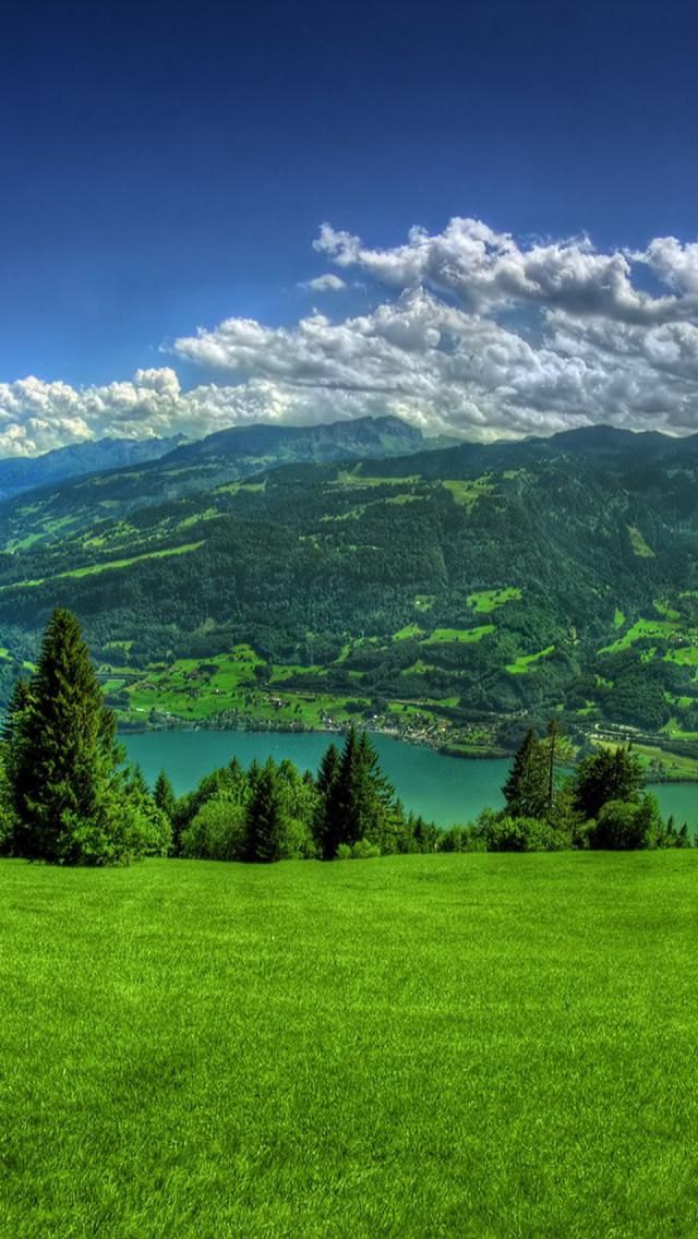 Beautiful green landscape