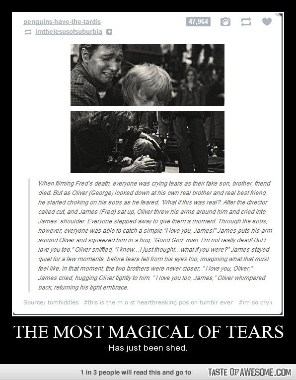 Fred and George and James and Oliver. I definitely teared up reading this.
