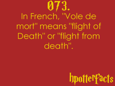 Harry Potter facts 073