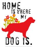 I love having dogs in my house again…even if they keep peeing the carpet….