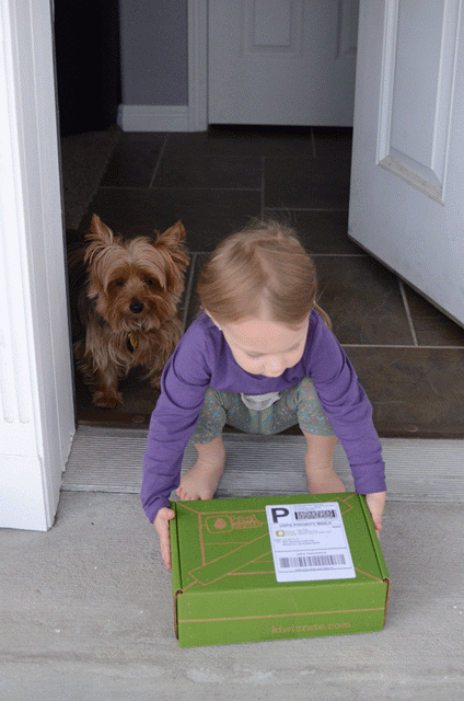 Kiwi Crate – They will deliver a box to your child each month that’s desig