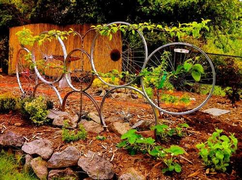 Old bike wheels become a unique garden trellis. Fun!