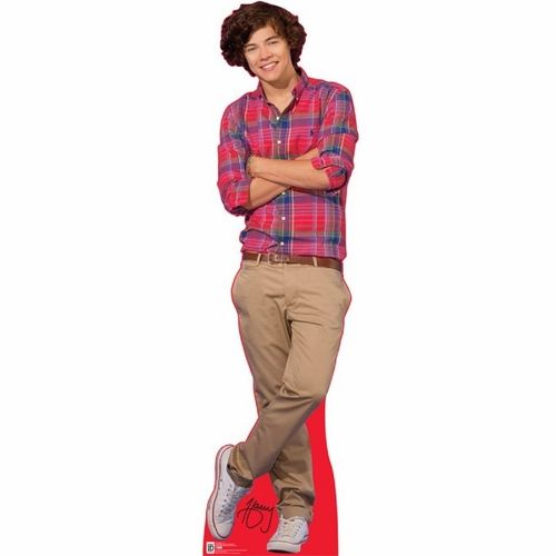 One Direction Harry Life Sized Cardboard Cutout $35.99