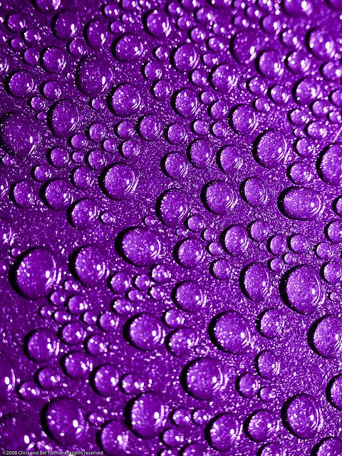 Purple Purple Purple #Purple