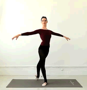 Quest for a Ballet Body: The Ballet Stretches