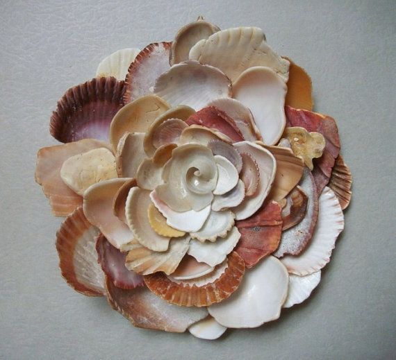 Sea Shell Art