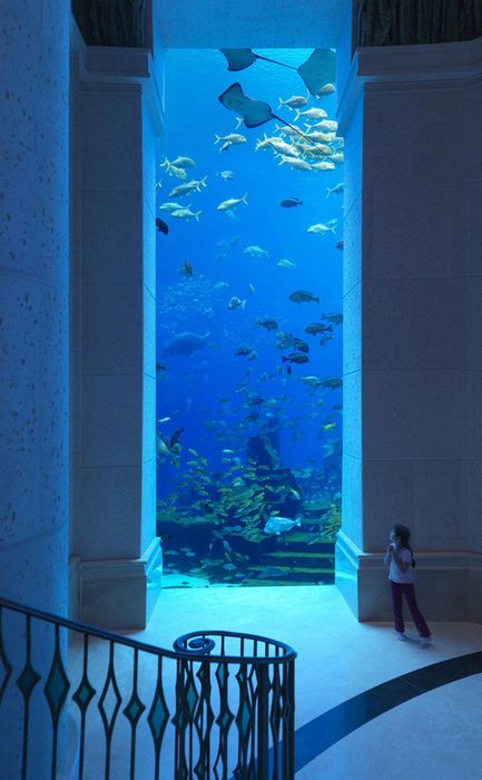 So cool, as long as you don't mind being underwater. :) Aquarium wall: Dubai