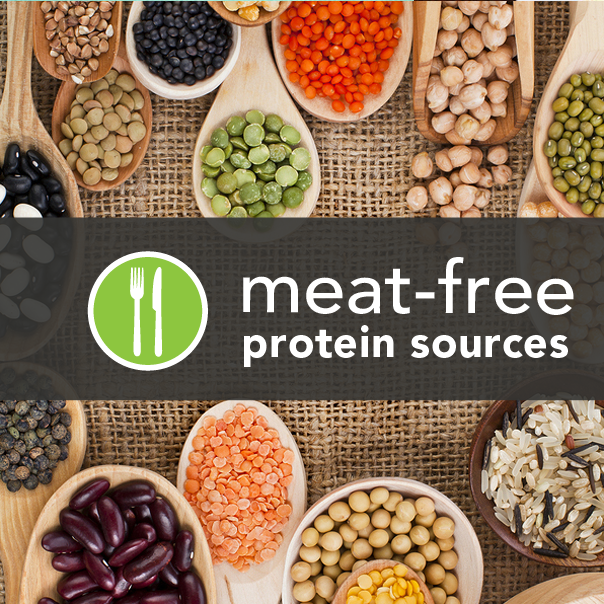 Vegetarian protein sources.