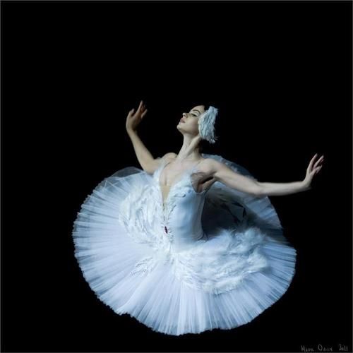ZsaZsa Bellagio: Ballet Beautiful!