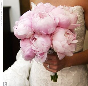baby pink wedding flowers, wedding flowers wedding flowers