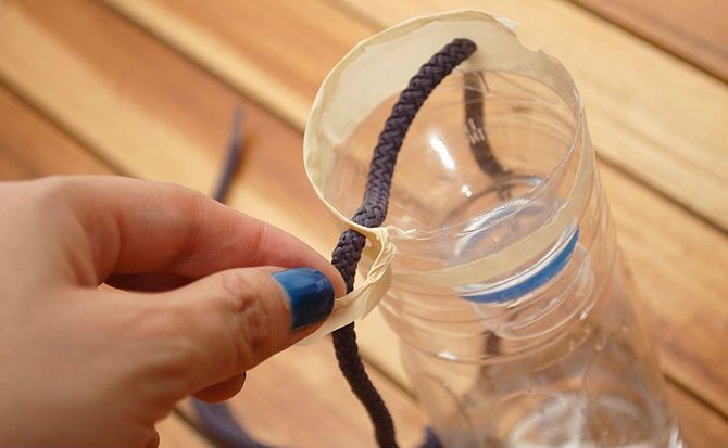 How to Make a Wasp Trap