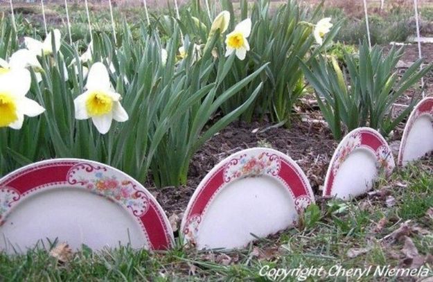 Use broken plates as garden edging. -   How To Reuse Your Broken Things