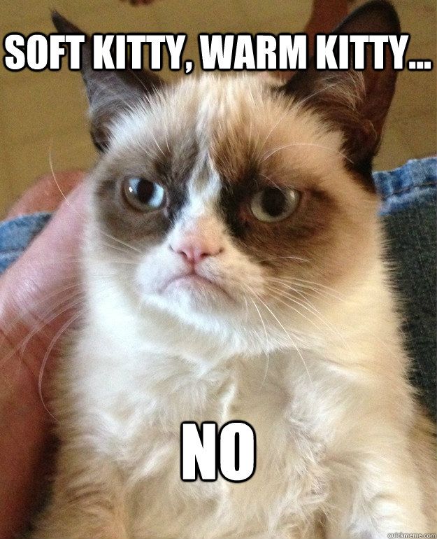 soft kitty warm kitty no – Grumpy Cat