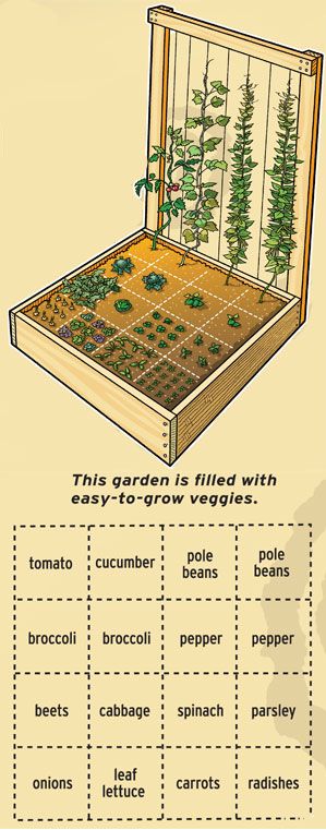 this is a square foot garden – check out the book called All New Square Fo