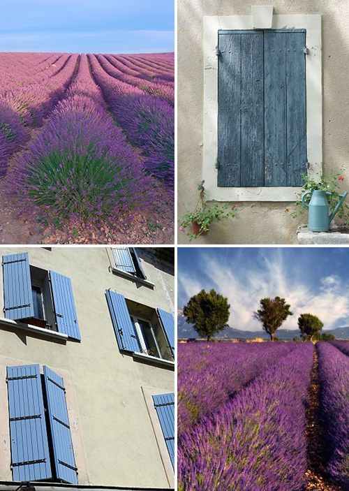 ✕ Provence details