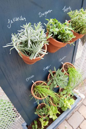 A vertical herb garden is both functional and beautiful for your outdoor spaces.