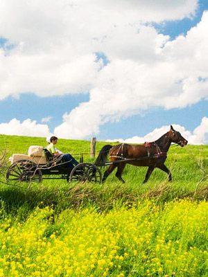 Guide to Ohio's Amish Country – Amish shops & restaurants revealed.