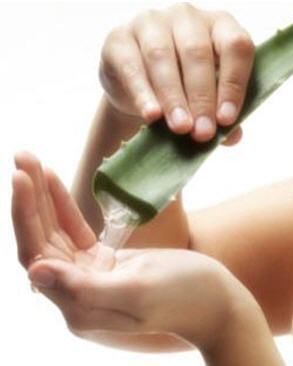 One of the most effective hair growth tips is to use Aloe Vera. Massage Aloe Ver