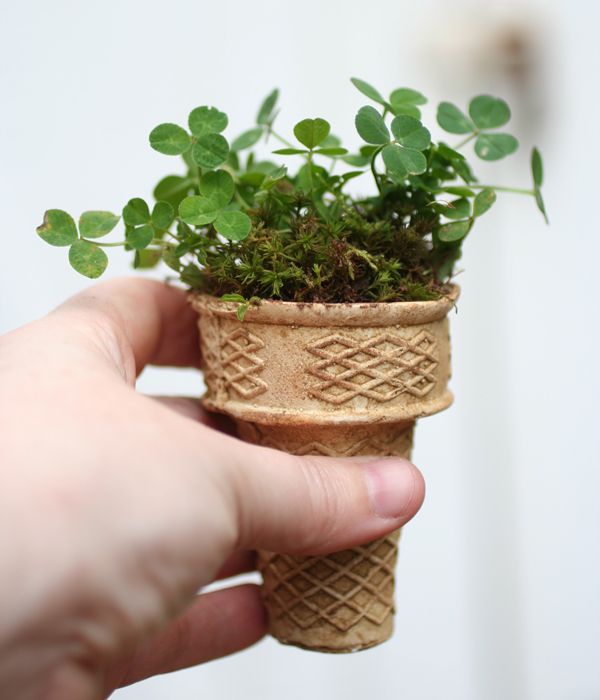 This is fun – start seeds in ice cream cones and plant in the ground. Not sure i