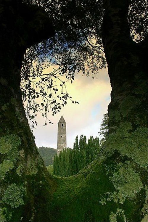 Tree Portal, Glendalough, Ireland (15 Pictures)