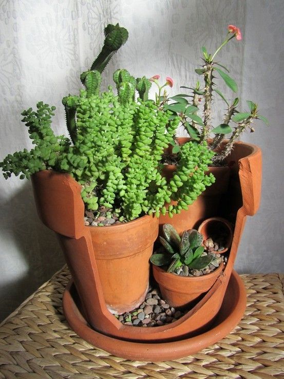 Upcycled broken pot – great site for new uses for old things