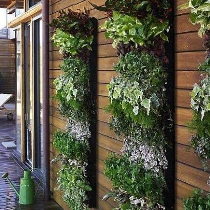 Vertical herb garden….I'm going to save the heavy duty hanging plastic bag