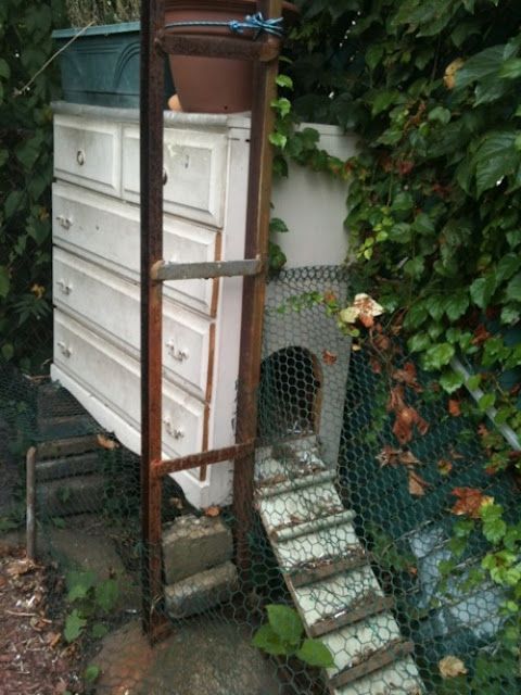awesome chicken coops