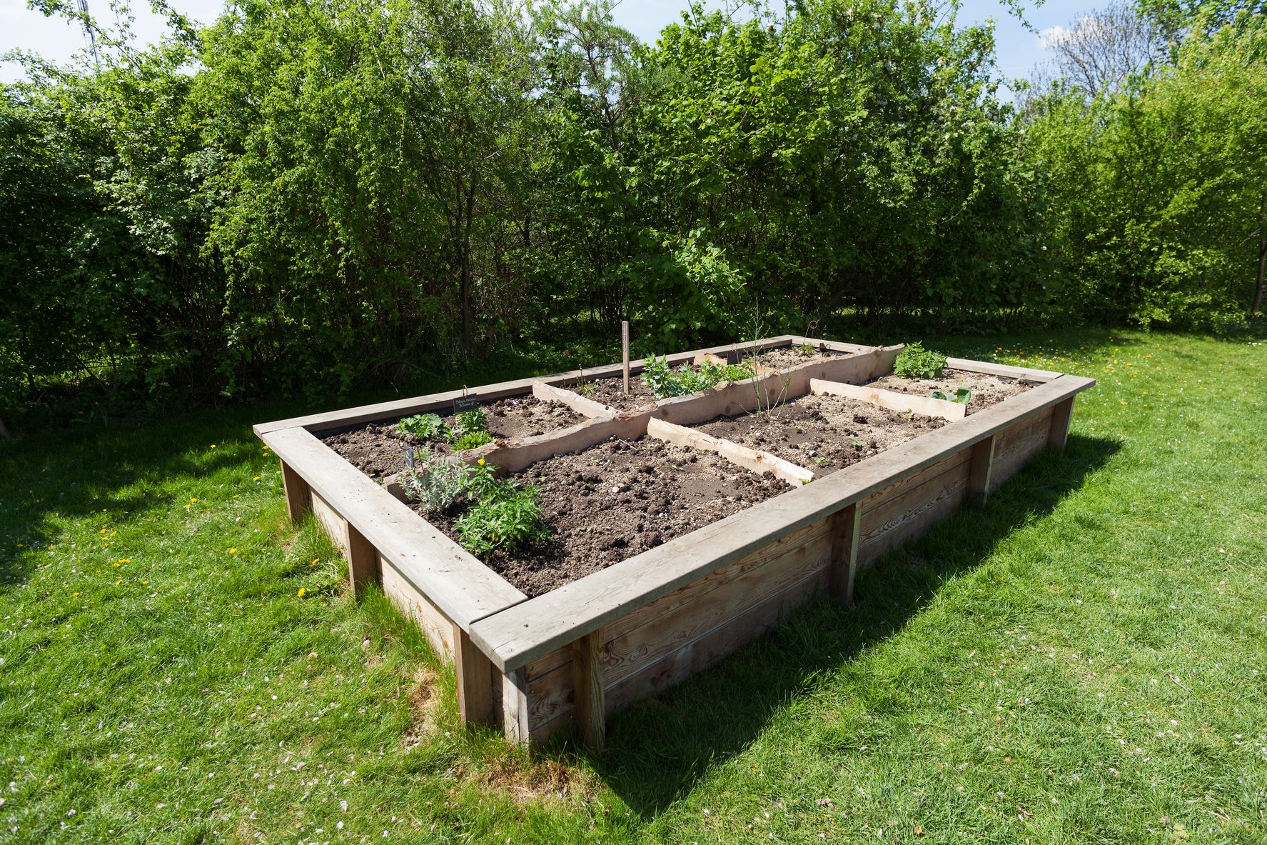 How to Build Raised Garden Beds -   Raised beds Ideas