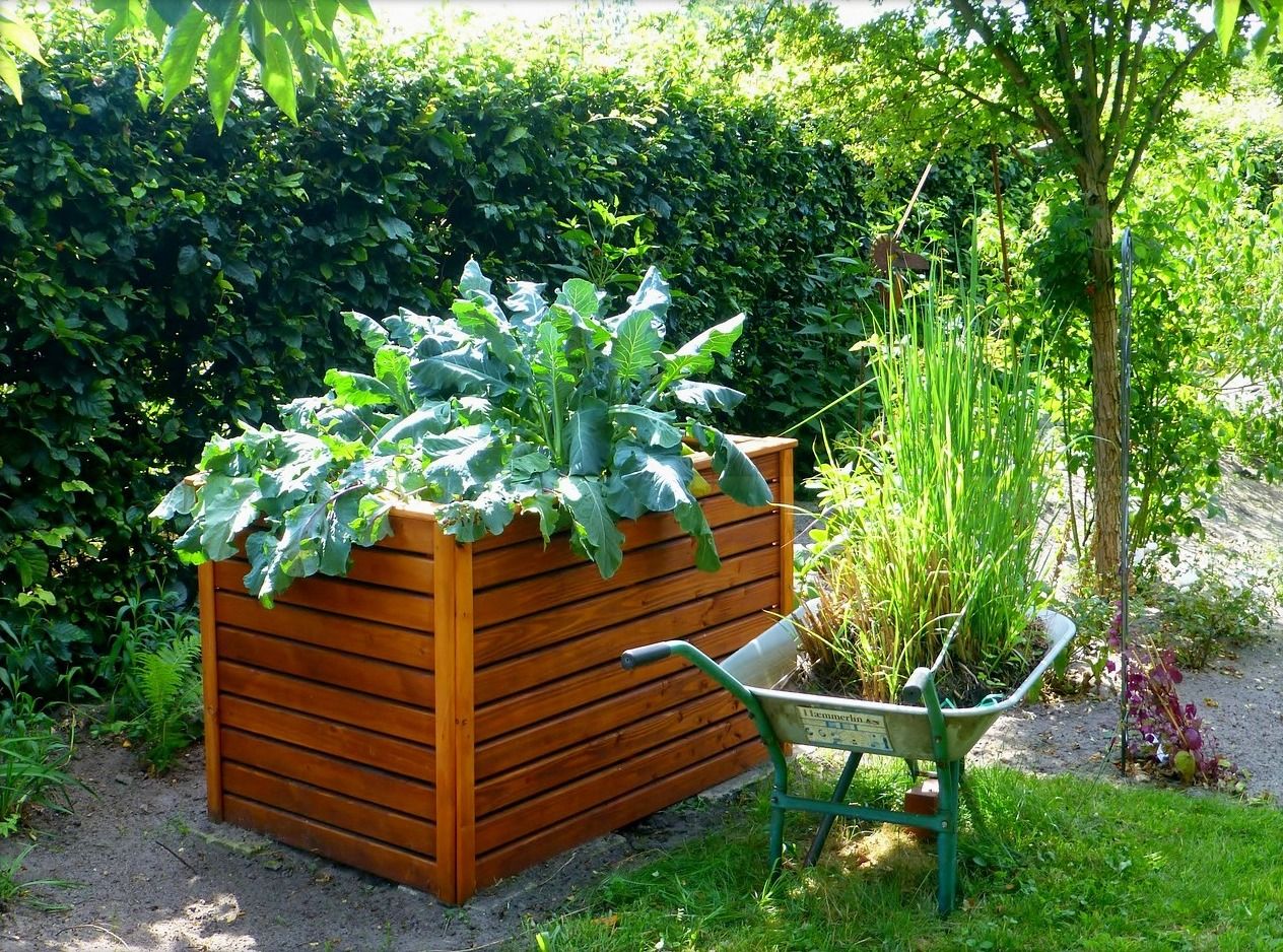 Raised Bed Gardens and Small Plot Plans -   Raised beds Ideas