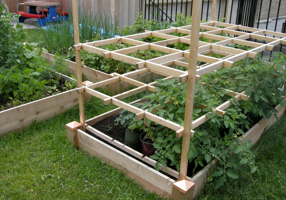 How to grow tomatoes and peppers in raised beds -   Raised beds Ideas