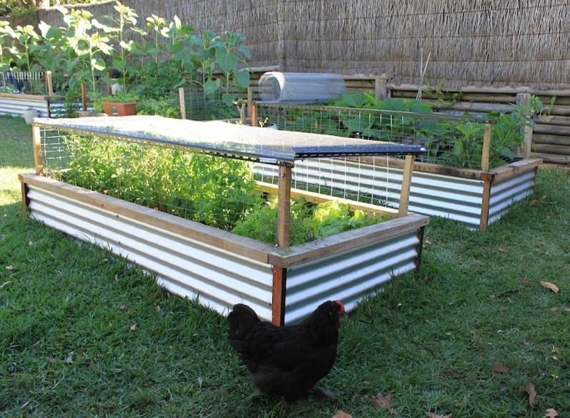 Building Raised Veggie Garden Beds is listed in our Building Raised ... -   Raised beds Ideas