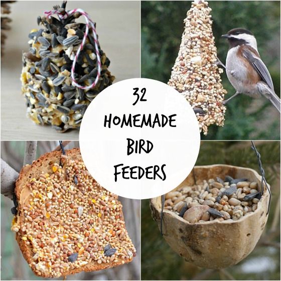 32 Easy Homemade Bird Feeders -   DIY Natural Bird Feeder