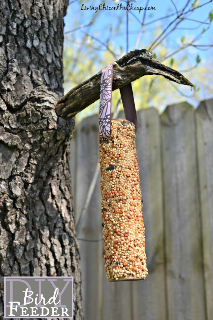 DIY Natural Bird Feeder