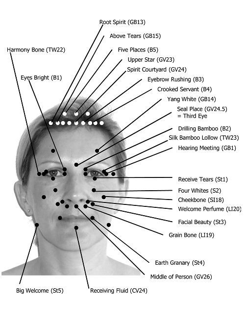 facial acupressure points The face and the skull are linked to all the organs in