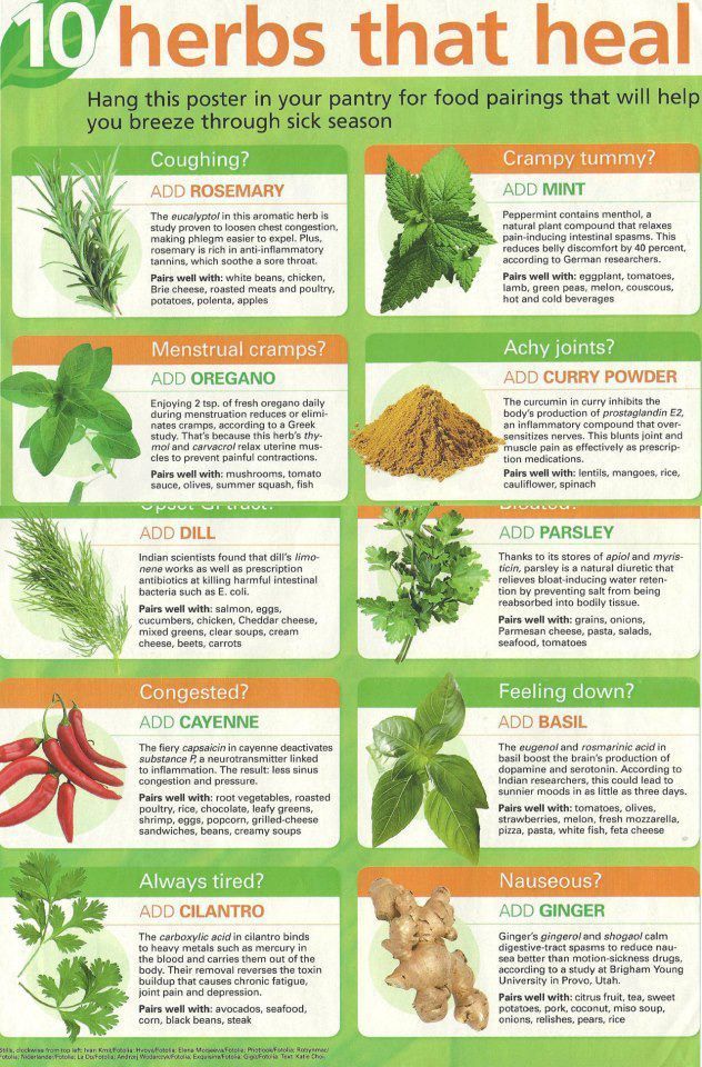 10 Herbs That Heal