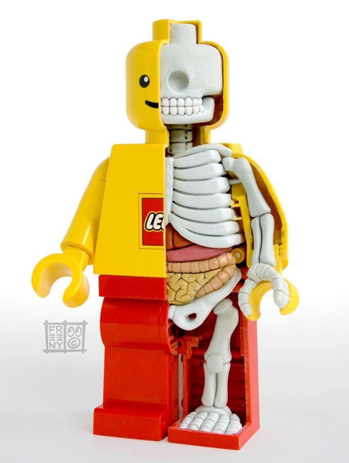 Anatomical LEGO!