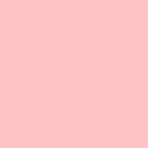 Blush pink – wedding color!? think so!