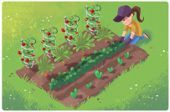 Enter your zip code and this calendar will tell you what to plant and when to pl
