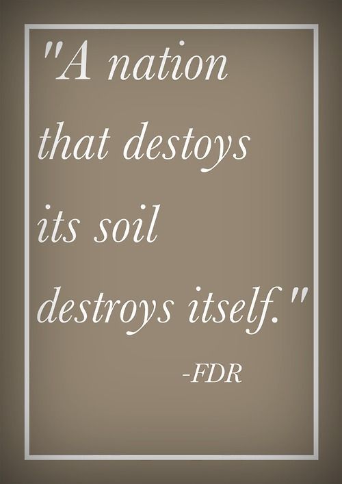 FDR soil quotation