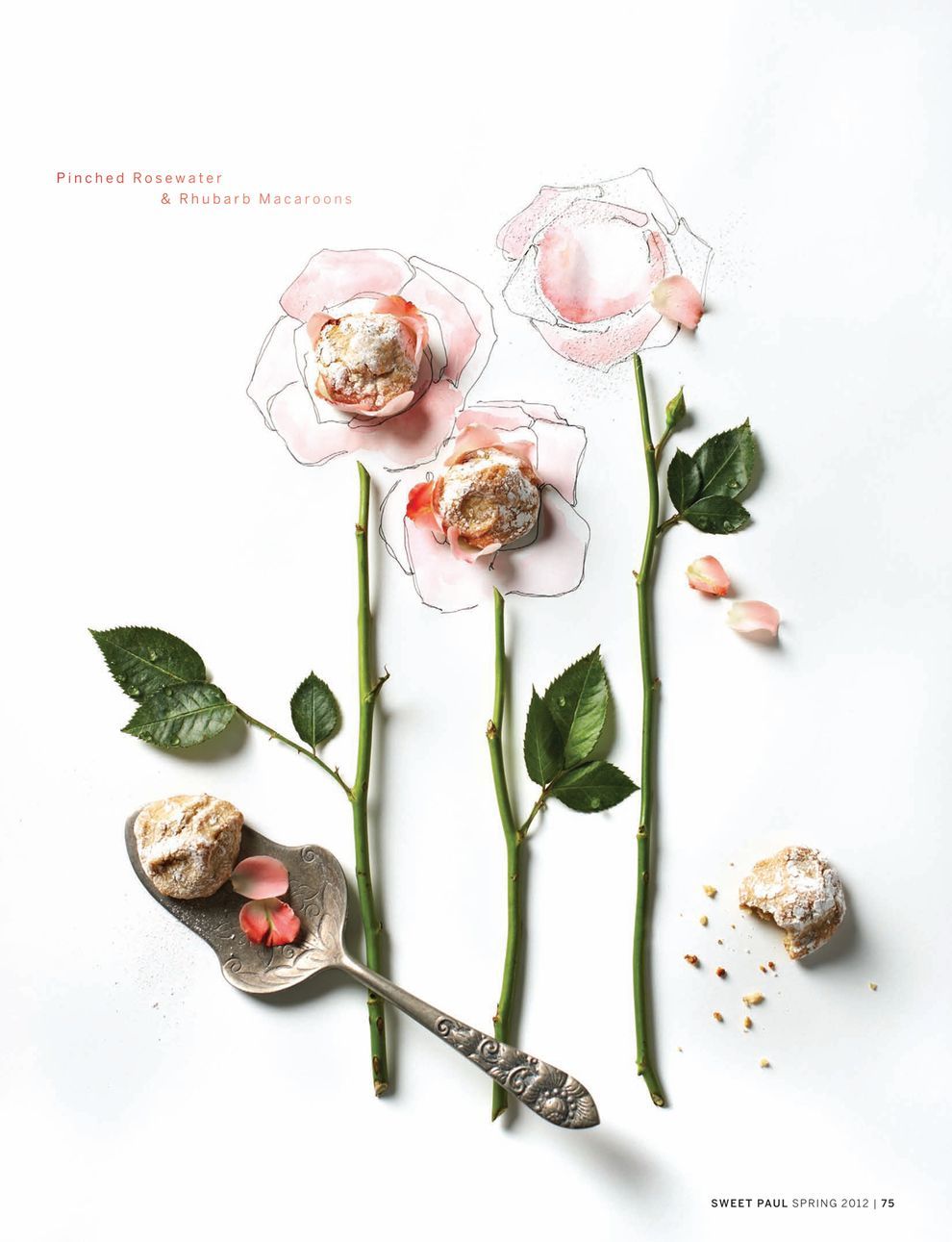 Food styling at its best!  ~ rosewater rhubarb macaroons, Sweet Paul