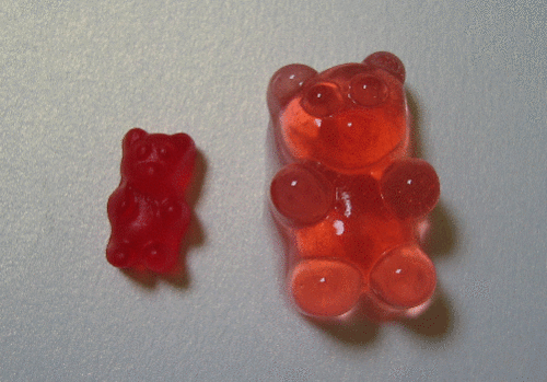 Gummy Bears soaked in Vodka – easier and better than jello shots!