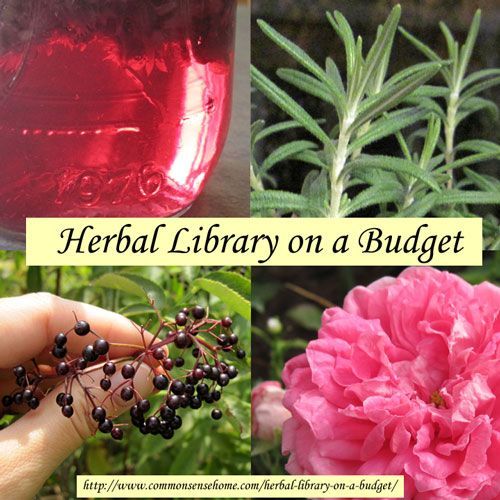 Herbal Library on a Budget @ Common Sense Homesteading