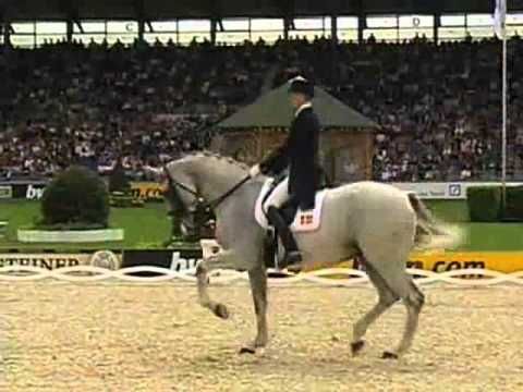 Hip Hop Dressage.  This is unbelievable.  Worth watching.