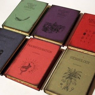 Hogwarts textbook journals!