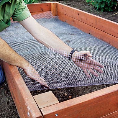 How to build the perfect raised bed