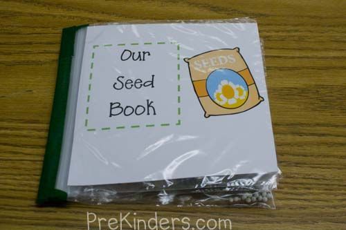 How to make a seed book for your science center w/ ziplock bags & real seeds