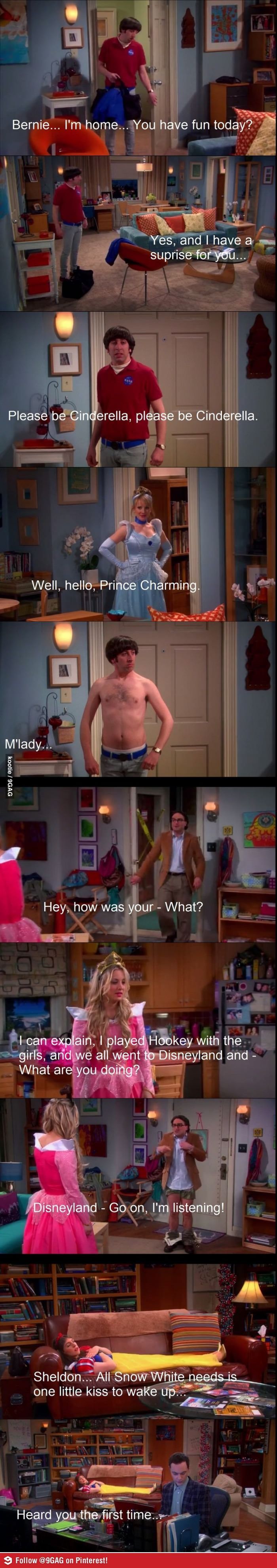 Just The Big Bang Theory